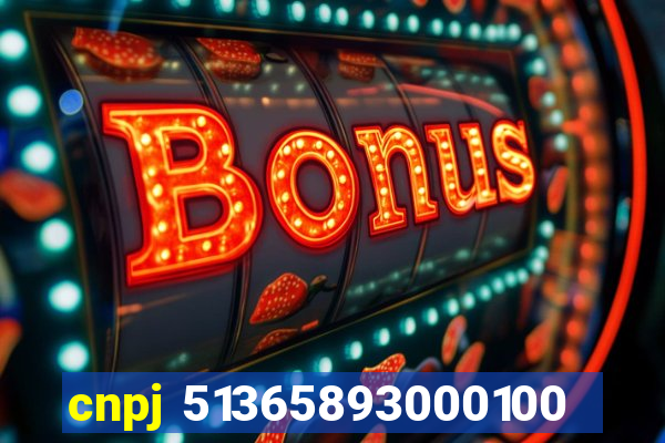 cnpj 51365893000100